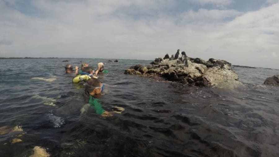 Swim in the Pacific Ocean