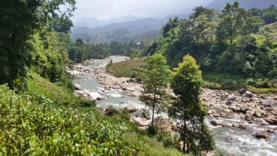 Muong Hoa Stream