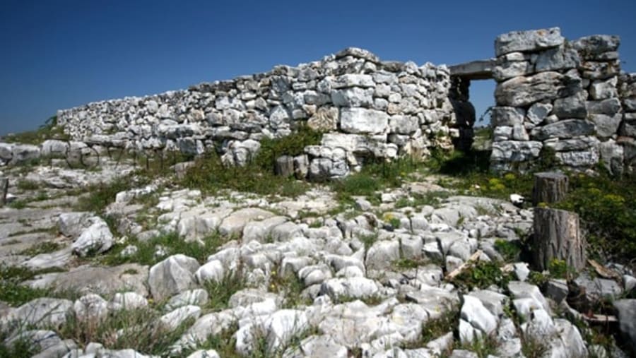 Monkodonja archaeological  site