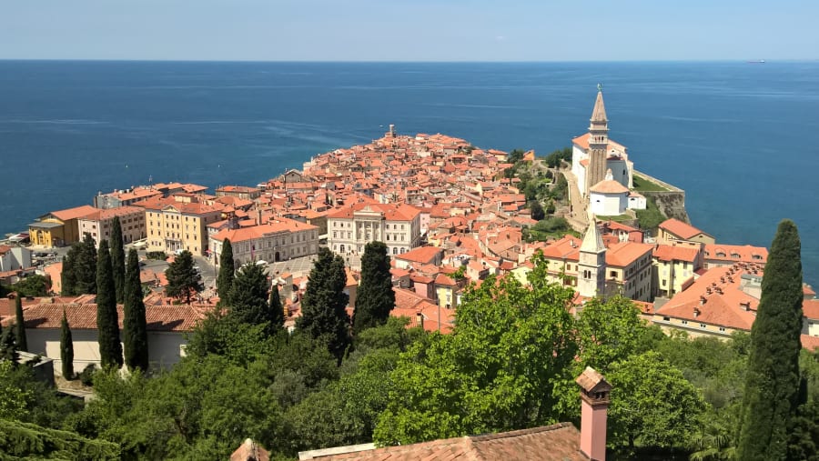 View of Piran City
