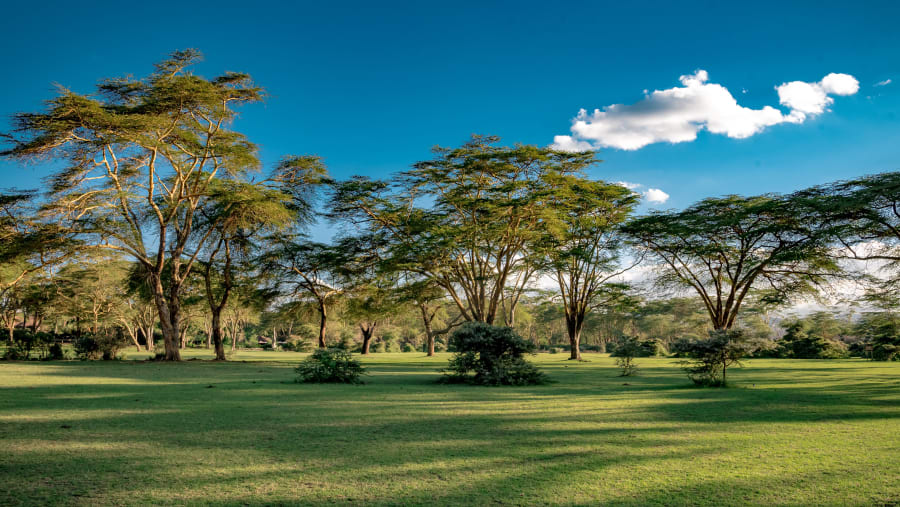 Lake Naivasha