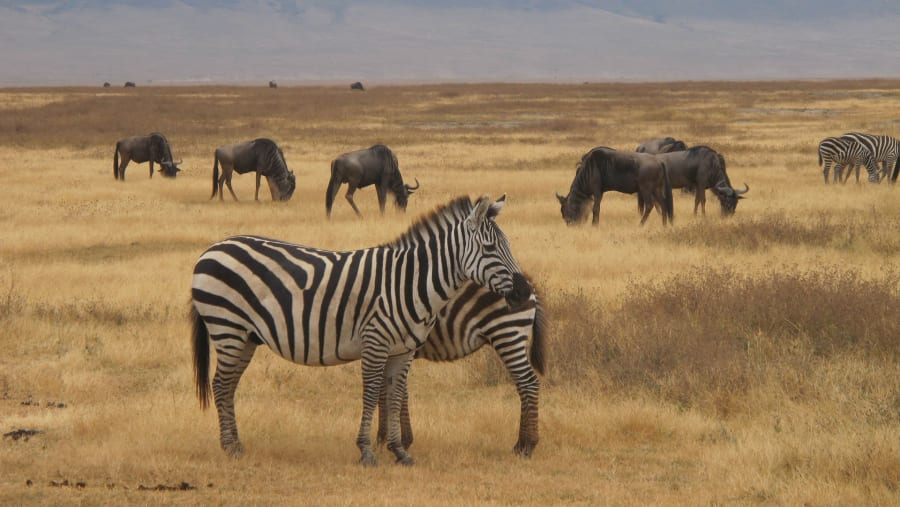 Serengeti National Park