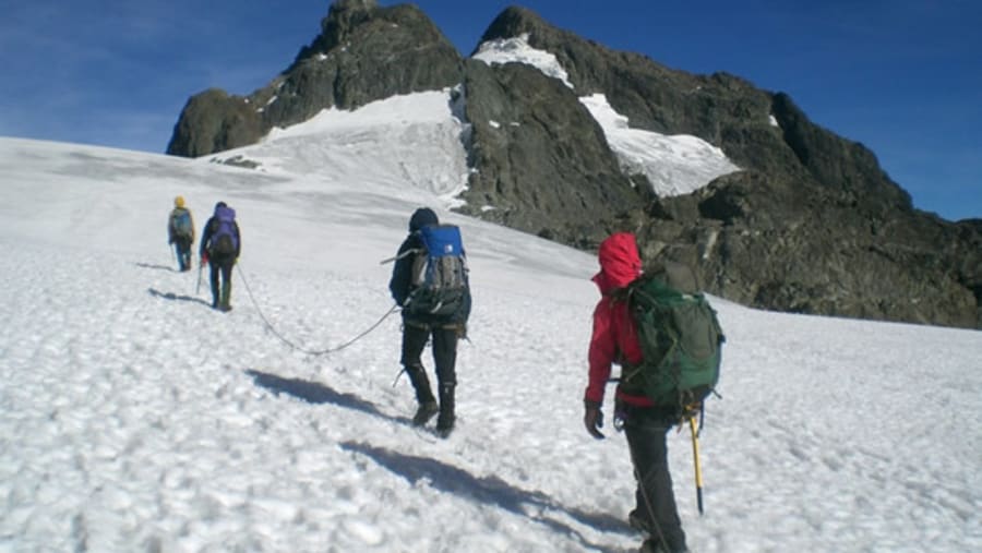 Rwenzori Hike