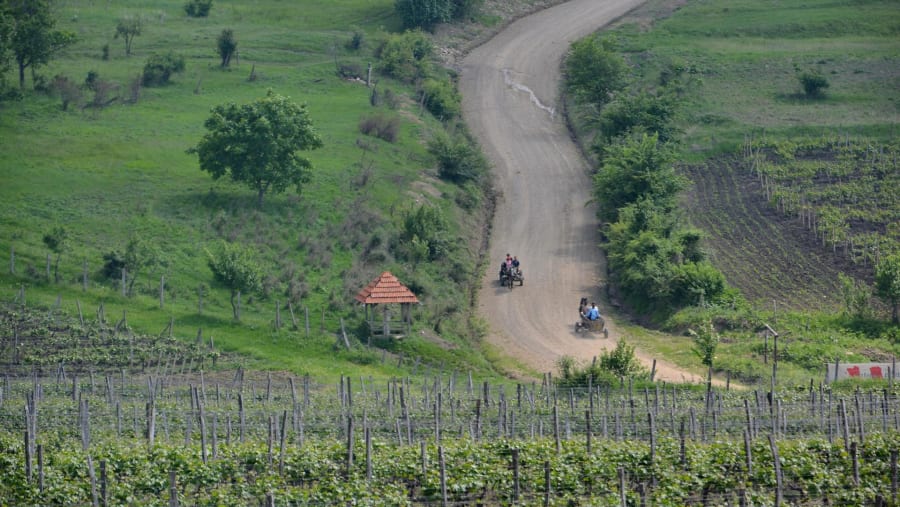 Countryside