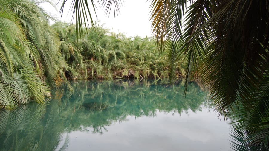 Kikuletwa Hot Springs, Tanzania