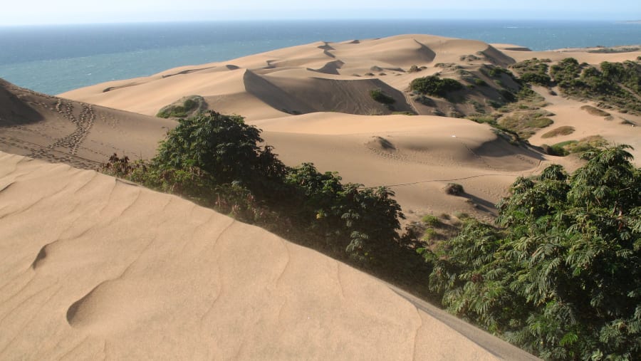 High sand dunes of Concon