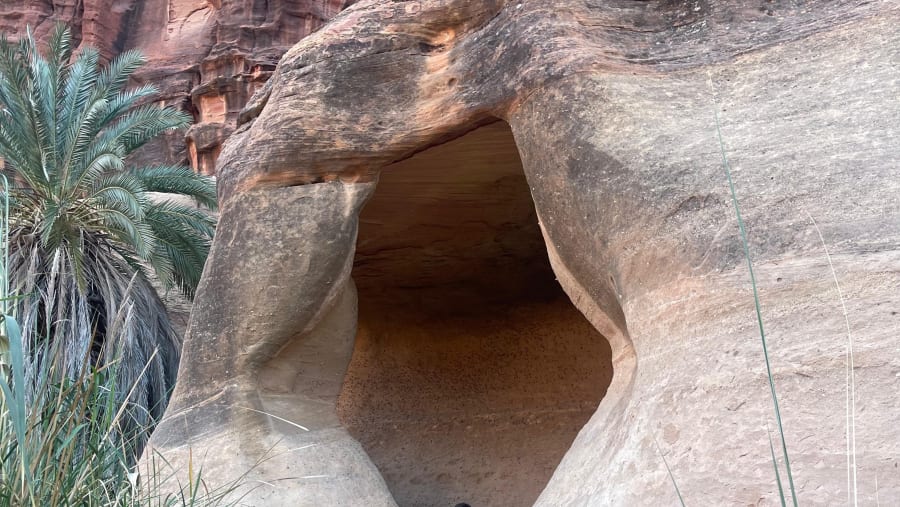 Desert Camping Experience
