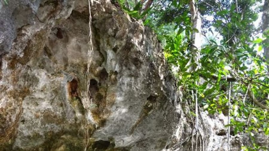 Grand Cenote