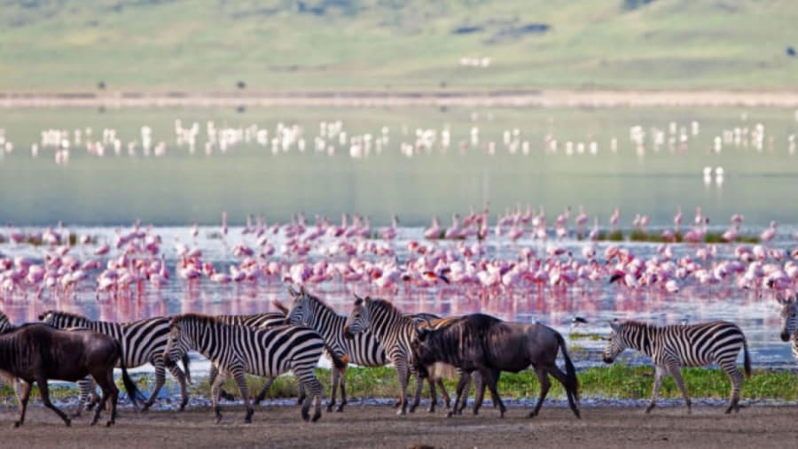 Ngorongoro Conservation Area