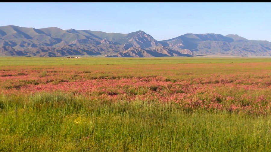 Spring time - Road to Kolsay
