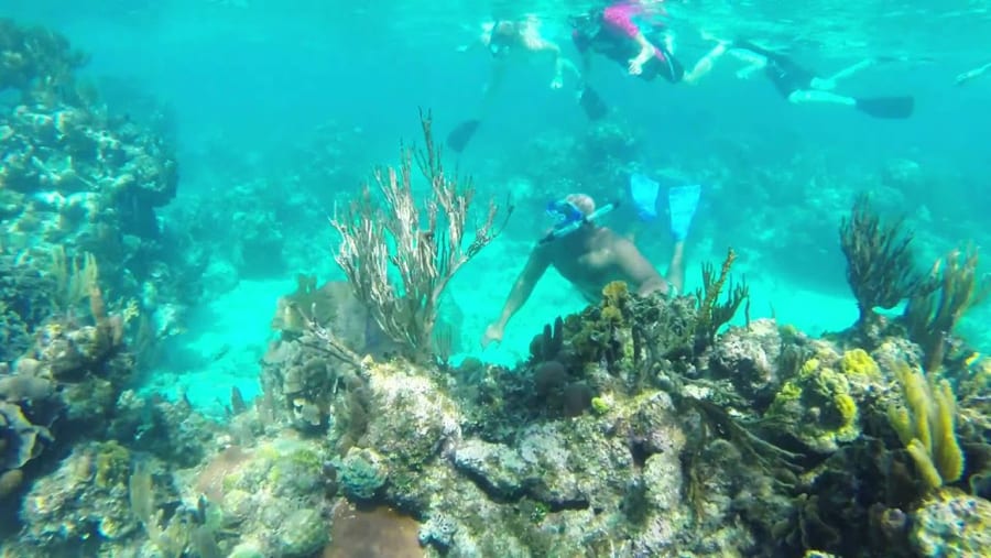 Snorkeling Experience