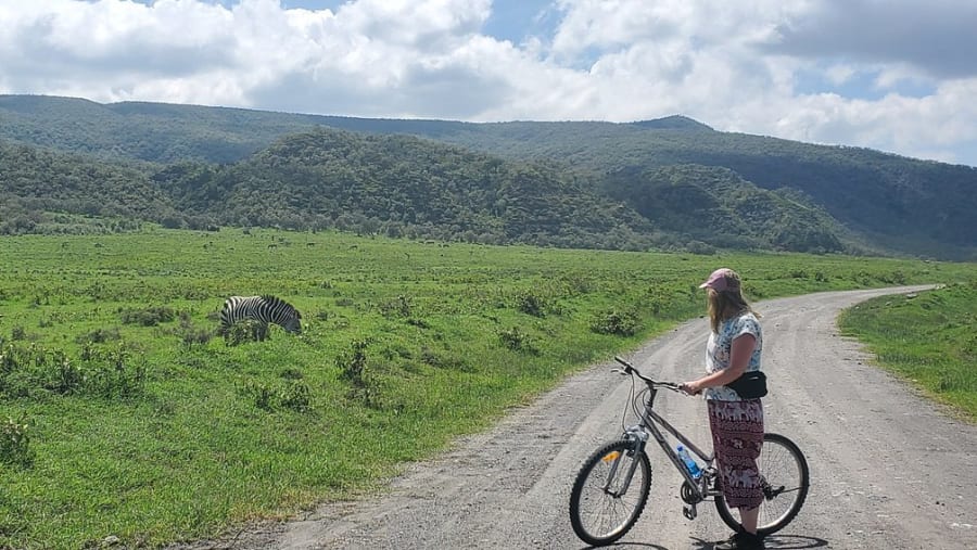 Traveller with their cycle observing wildlife