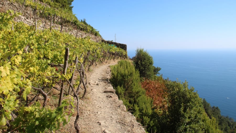 Volastra & Corniglia Hiking Tour