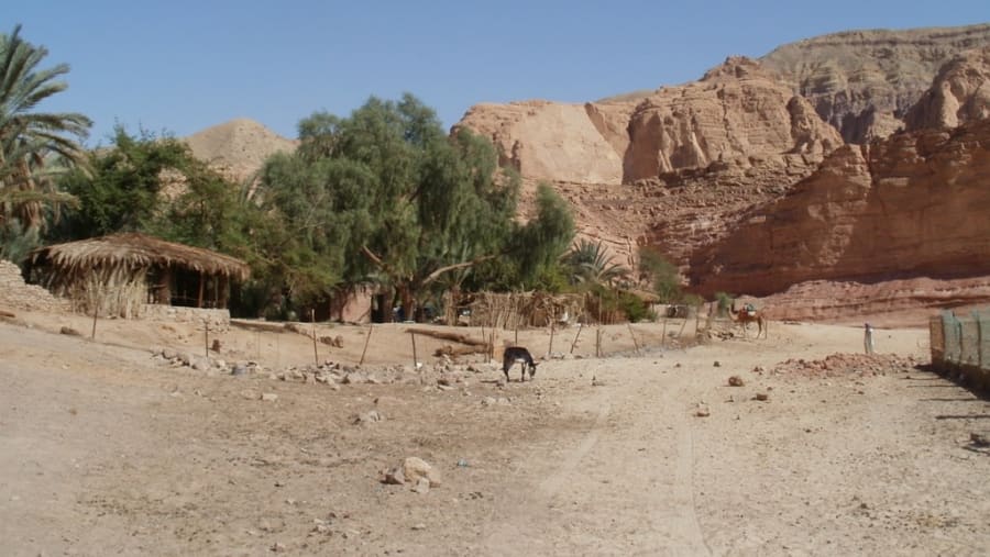 Sinai Desert, Egypt