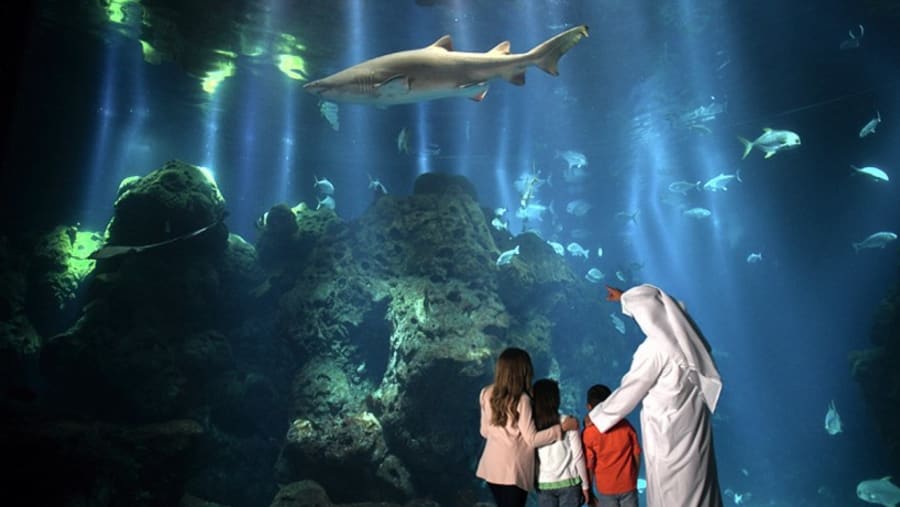 Kuwait Scientific Center