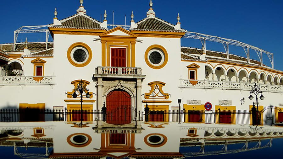 The beautiful La Maestranza
