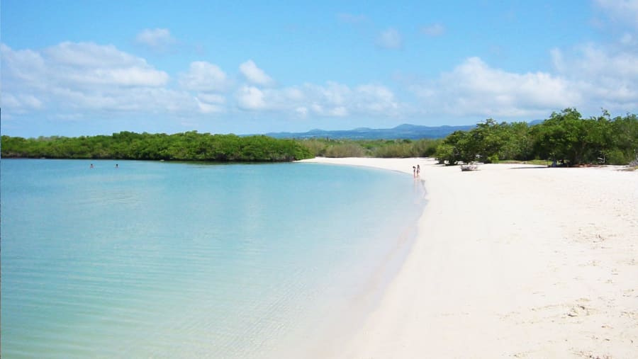 Tortuga Bay, Santa Cruz Island