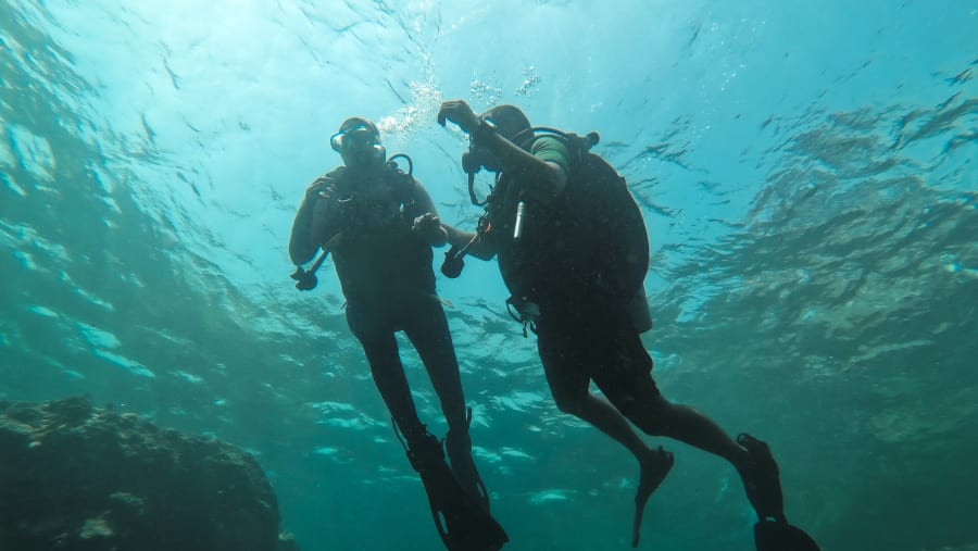 Fun on the dive