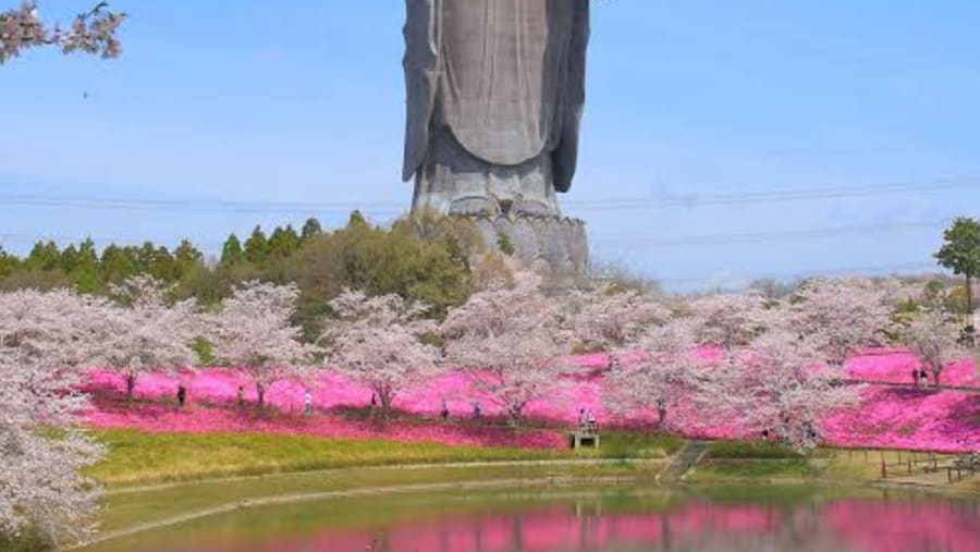 Mountain Tsukuba