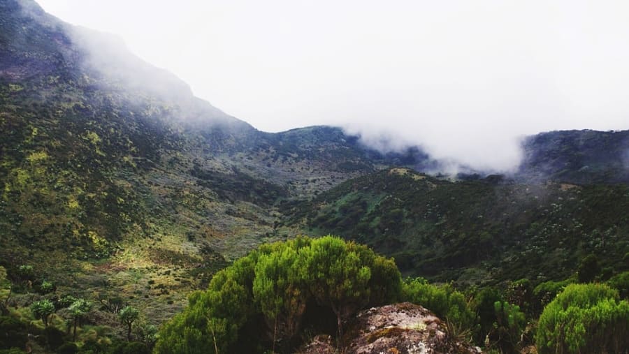Mount Kenya