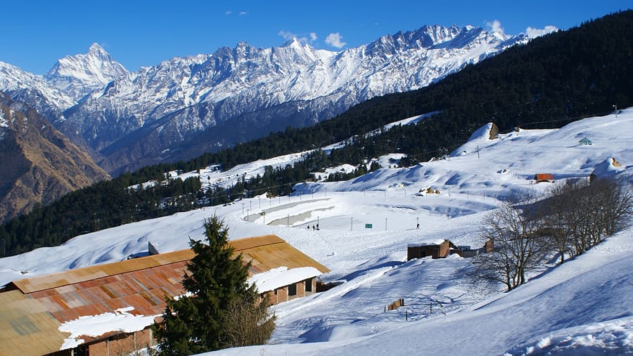 Auli