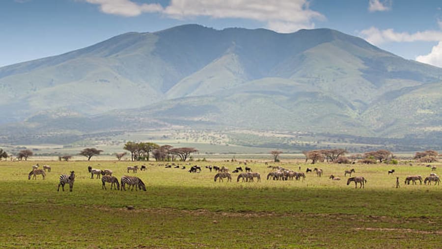 Serengeti Plains