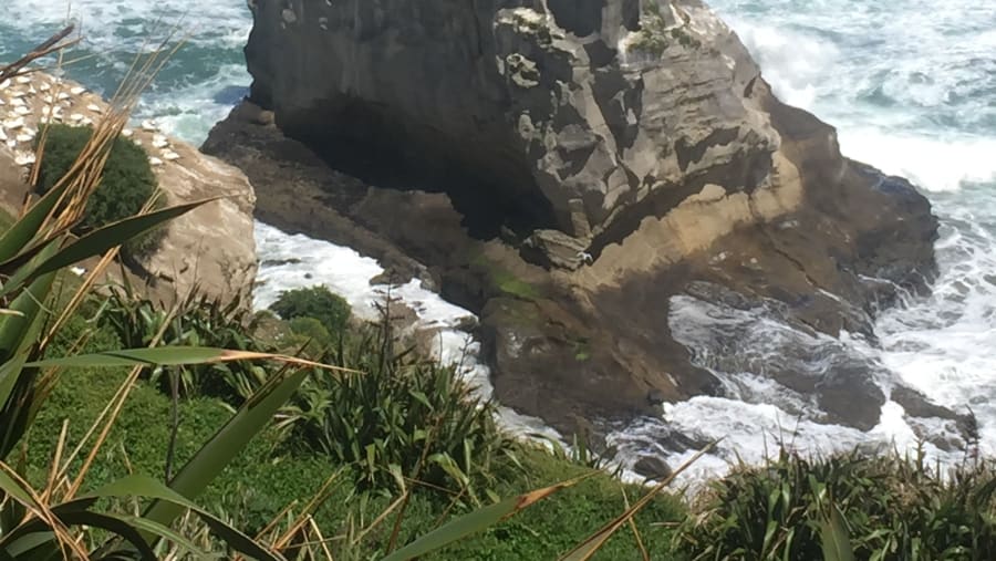 Tasman Sea