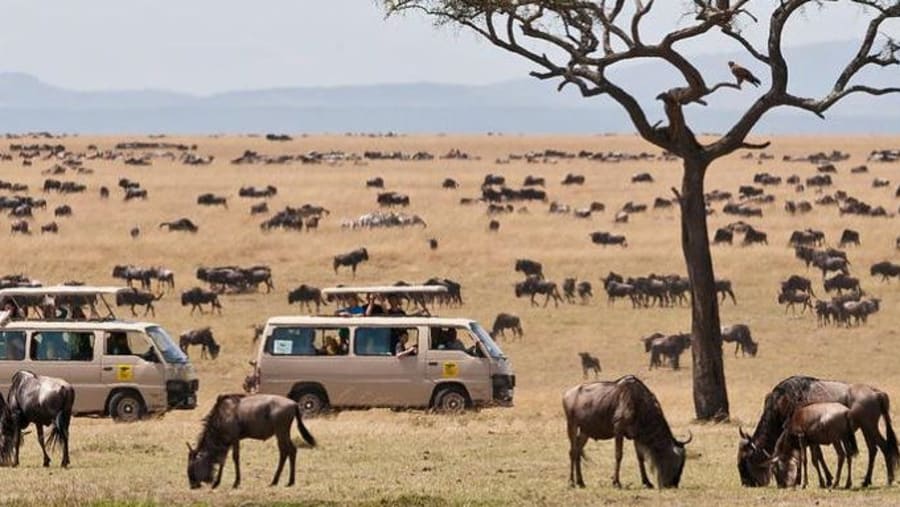 Masai Mara