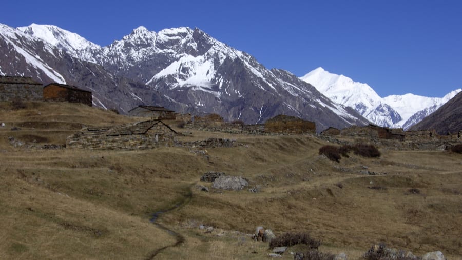 Trans-Himalayan Trek
