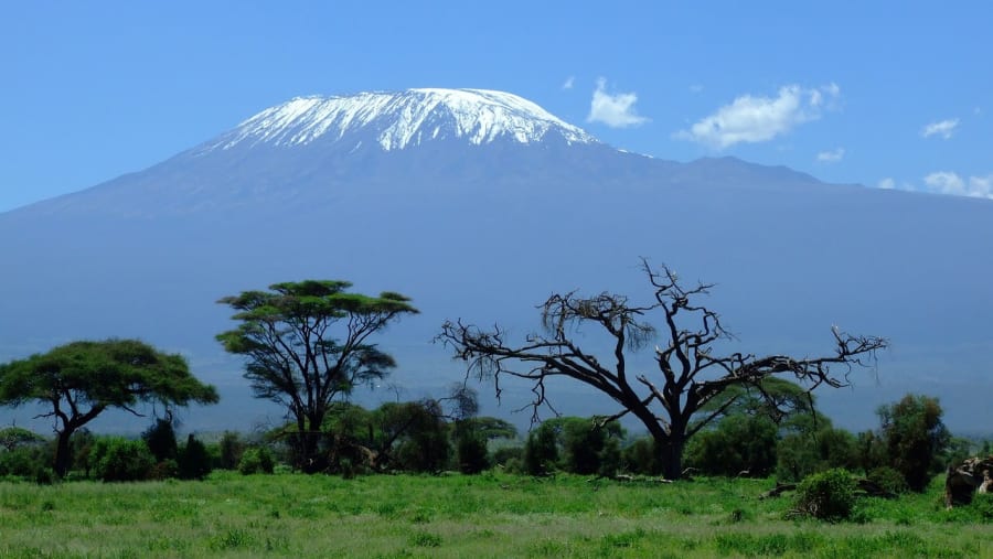 Venture to Mount Kilimanjaro