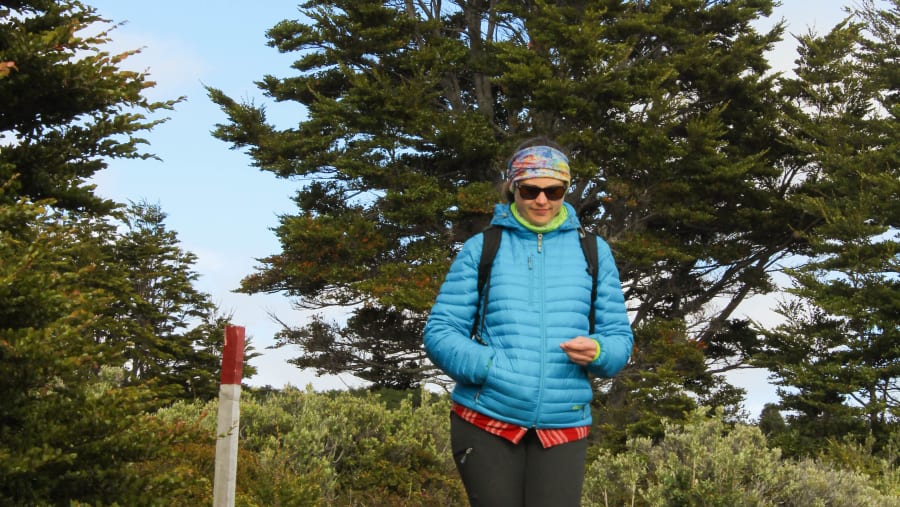 Travellers in Patagonian Forest