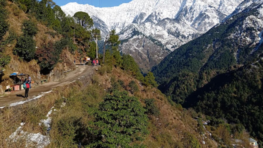 View of the Himalayas from Naddi Village