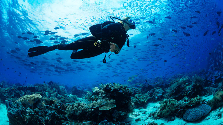 Scuba Diving
