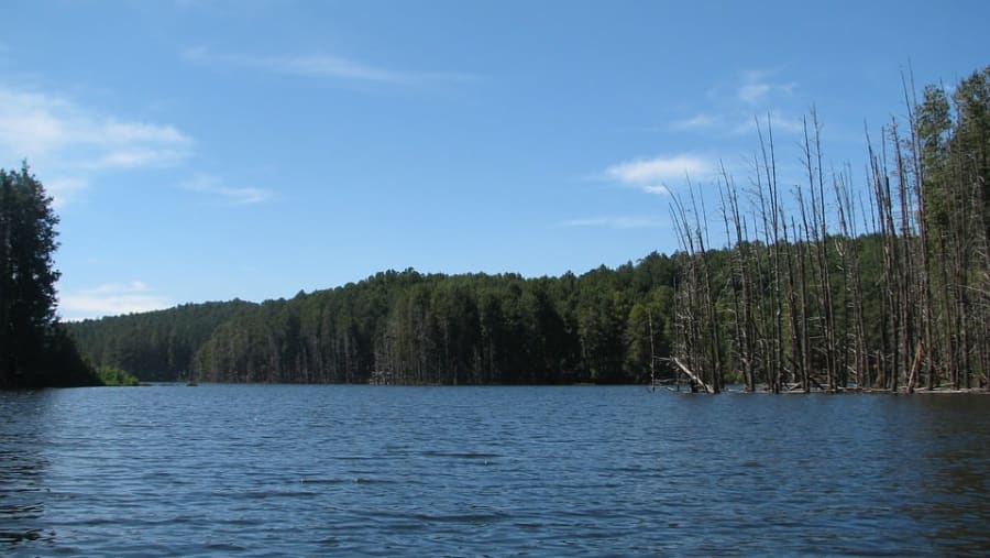 Kodaikanal Lake