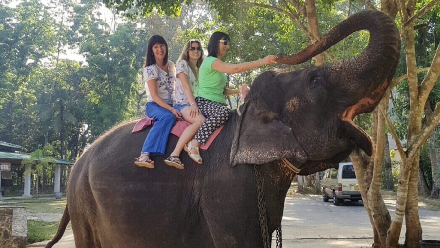 Pinnawala Elephant Ride