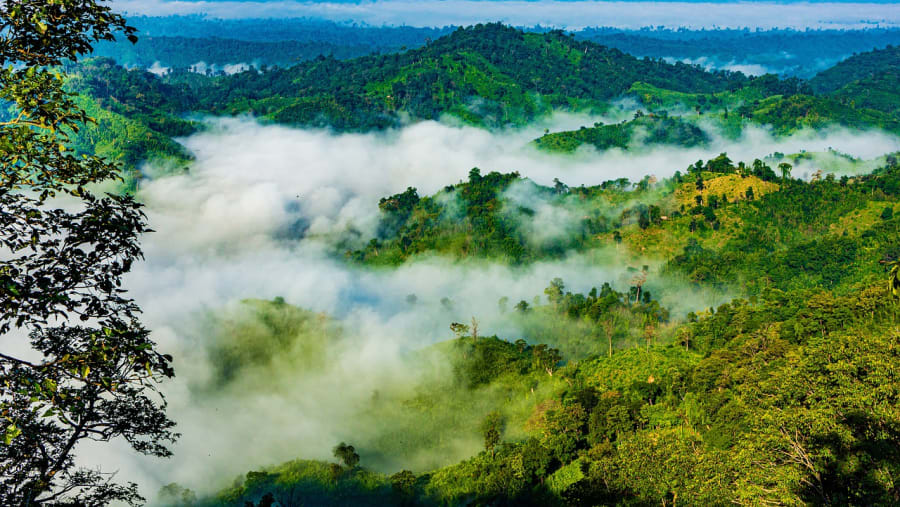 Venture to Bangladesh