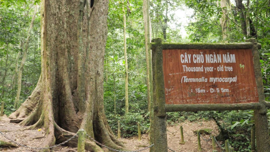 Explore Cuc Phuong Forest