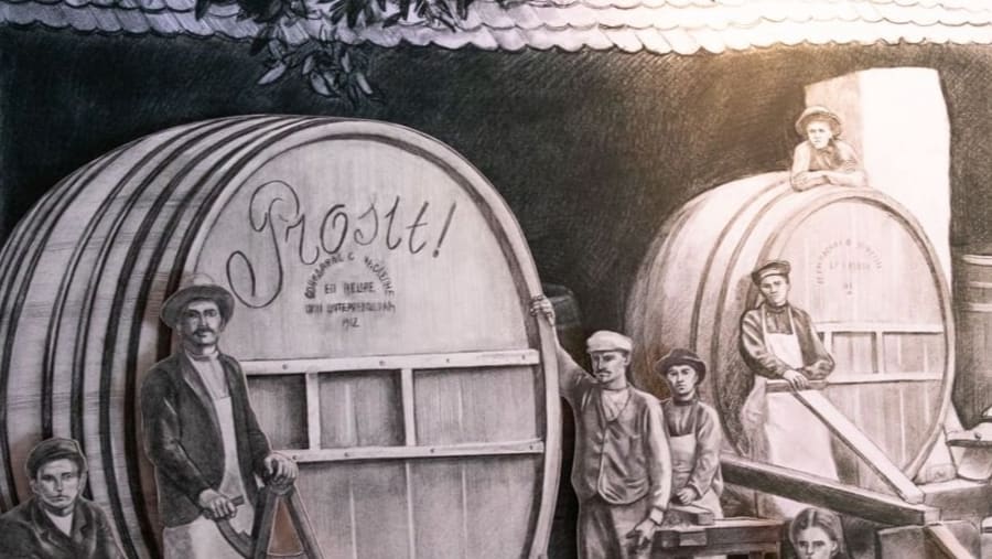 Wine tour