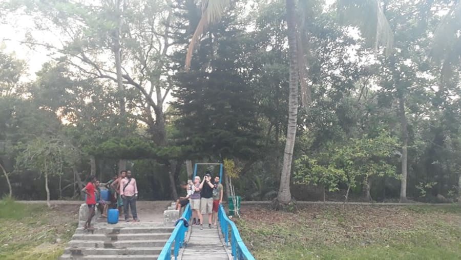 Sunderbans Tour