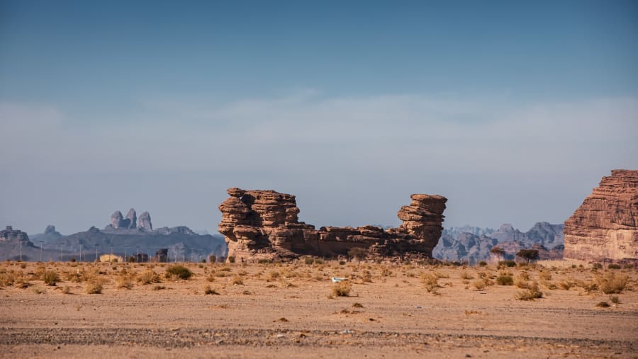 Full day Neom Tour