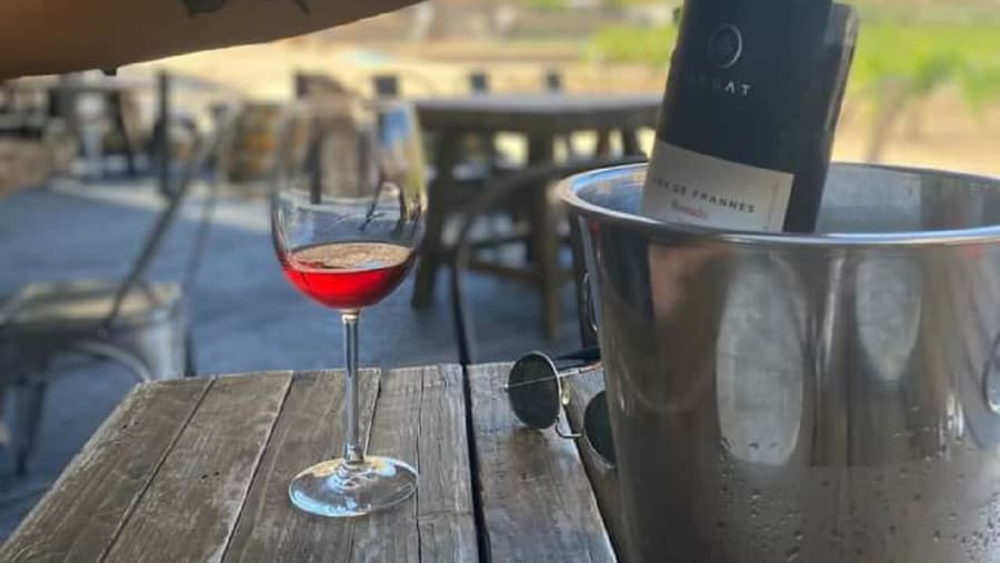 Valle de Guadalupe Wine
