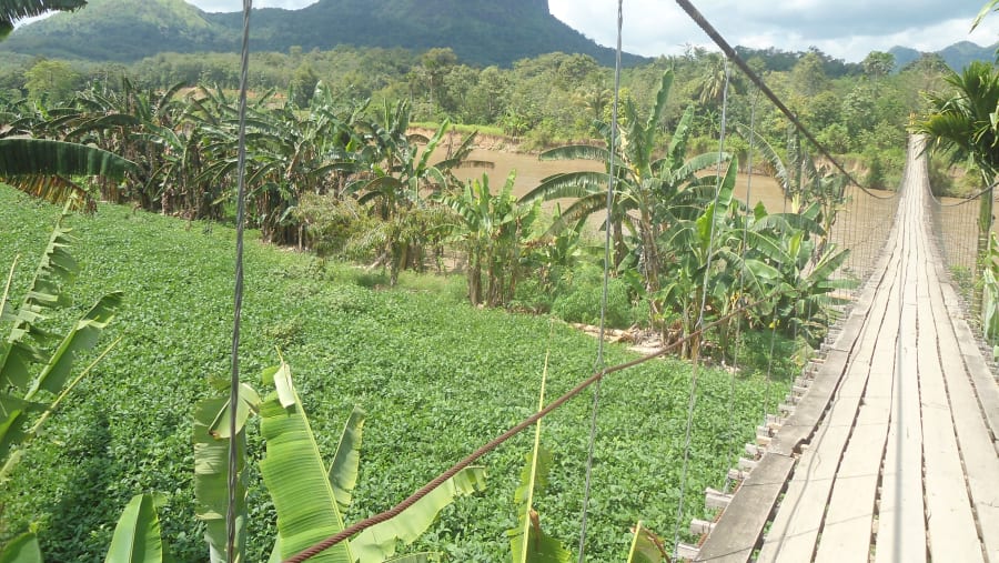 Protected forest in Serelo hill
