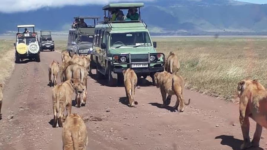 Serengeti National Park