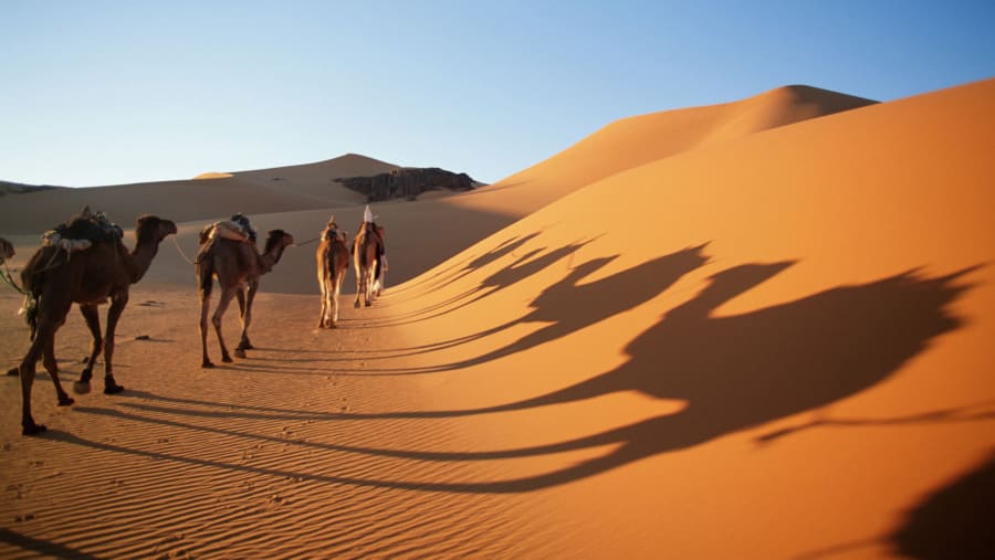 Witness serene views at Ouargla