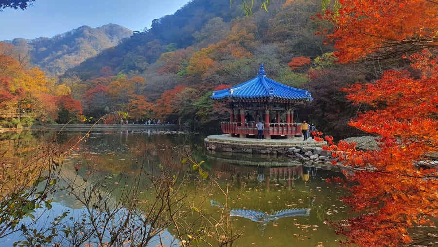 Naejangsan National Park
