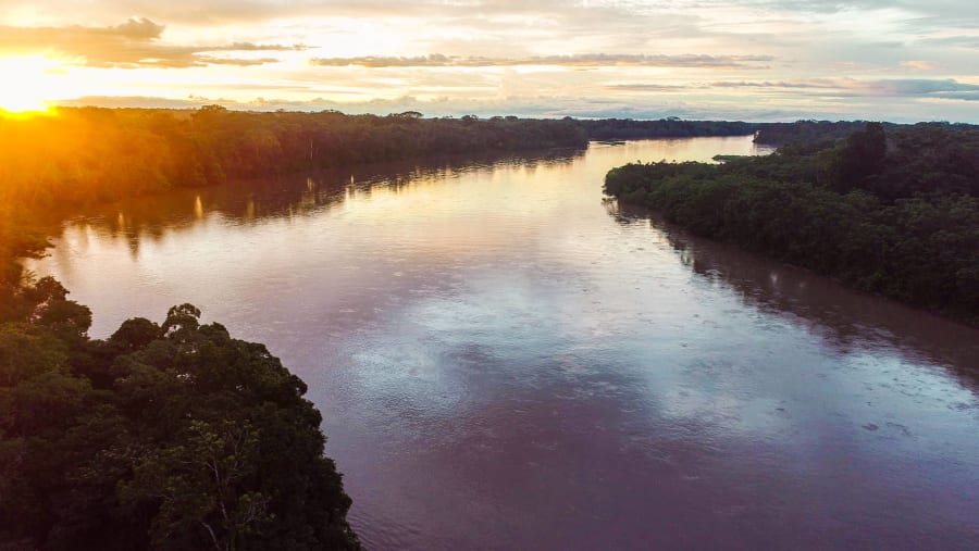 Flooded Amazon Jungle Lakes