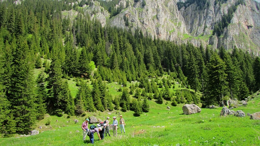 Transylvanian Alps