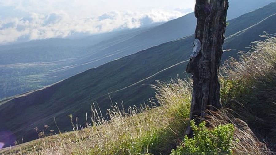 Mount Cameroon Trek