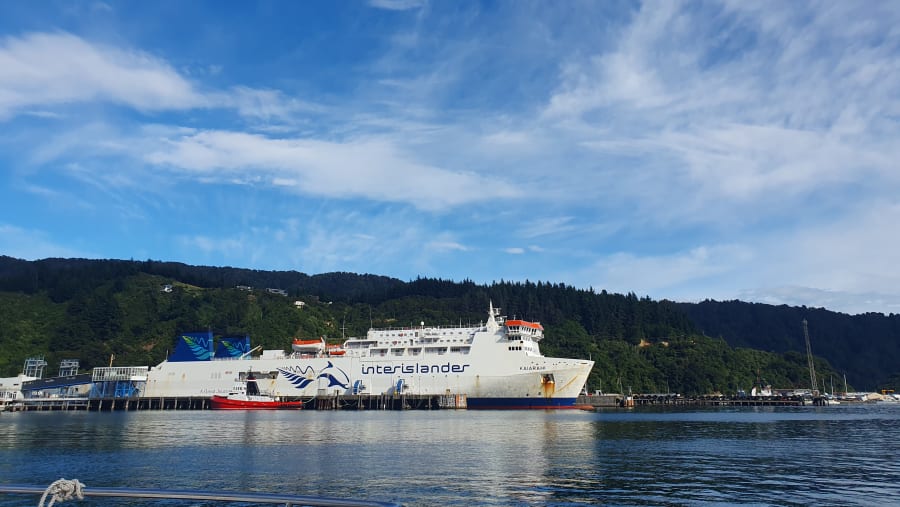 Beautiful shot of the cruise