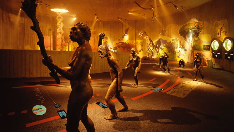 Explore the Neanderthal Museum in Krapina